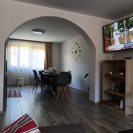 Casa Cerbului Apartamento Vişeu de Sus Exterior foto