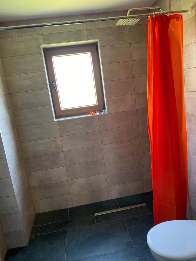Casa Cerbului Apartamento Vişeu de Sus Exterior foto