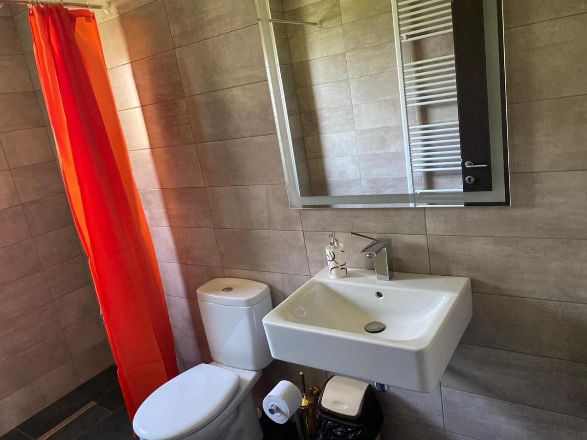 Casa Cerbului Apartamento Vişeu de Sus Exterior foto