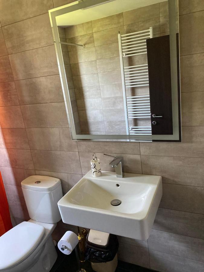 Casa Cerbului Apartamento Vişeu de Sus Exterior foto