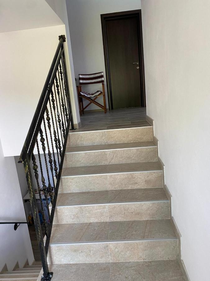 Casa Cerbului Apartamento Vişeu de Sus Exterior foto