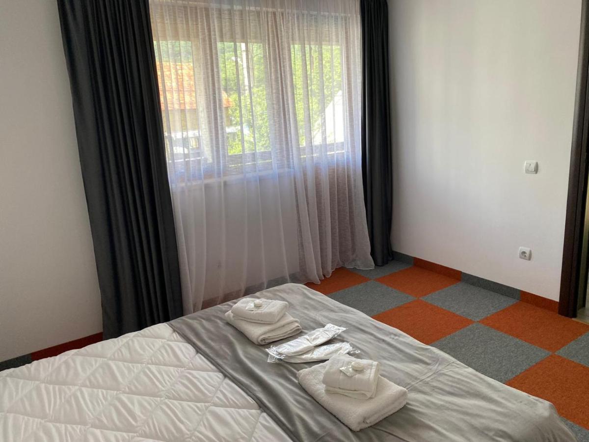Casa Cerbului Apartamento Vişeu de Sus Exterior foto